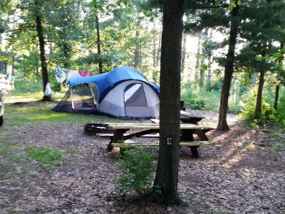 Pioneer Camp Site Lodge